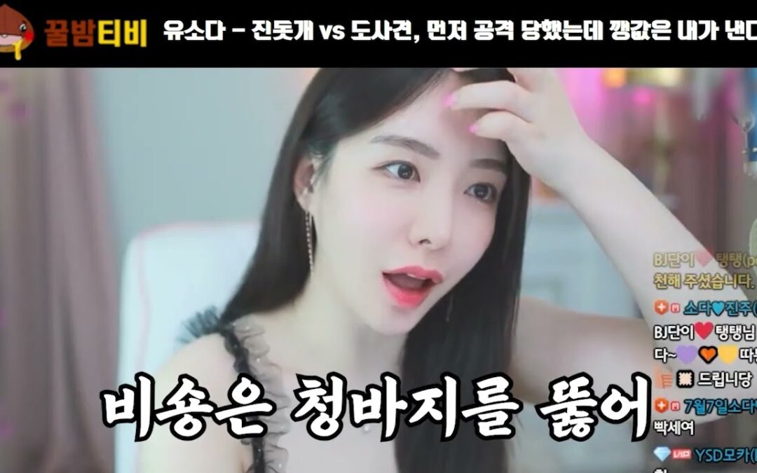 팝콘tv 갤러리 bj유소다 공격당한 일화