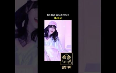 팝콘티비 연동 어플 꿀밤티비 bj둔교